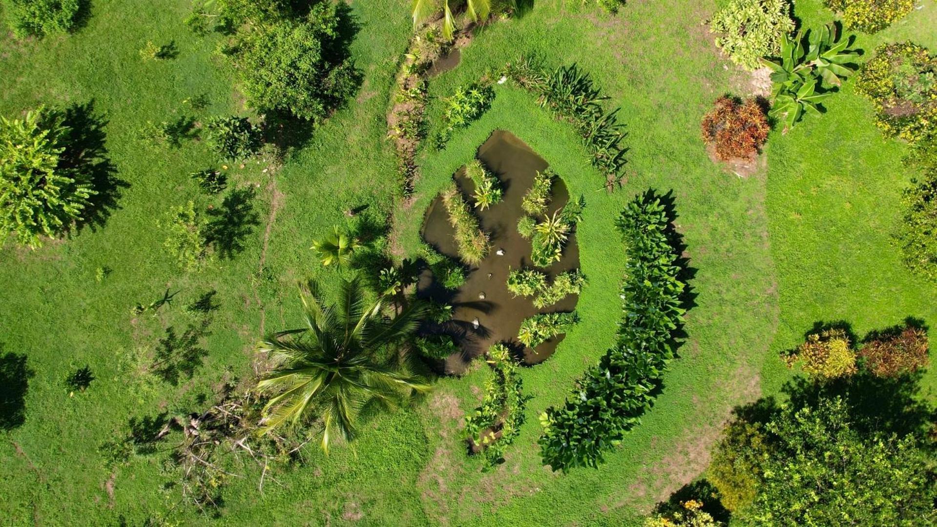 Eden Corcovado Villa San Pedrillo Kültér fotó