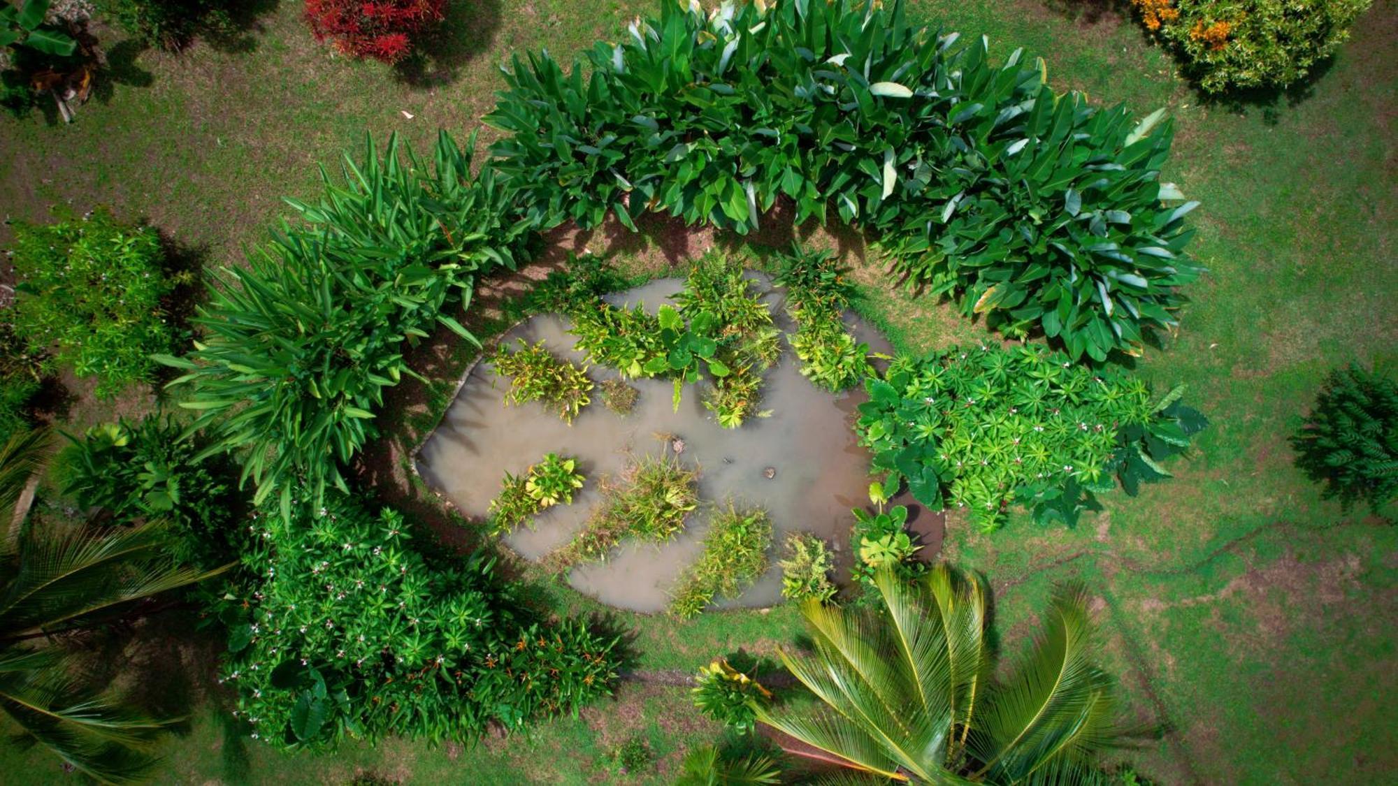 Eden Corcovado Villa San Pedrillo Kültér fotó